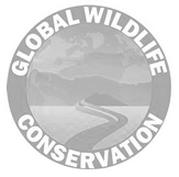 Global Wildlife Conservation
