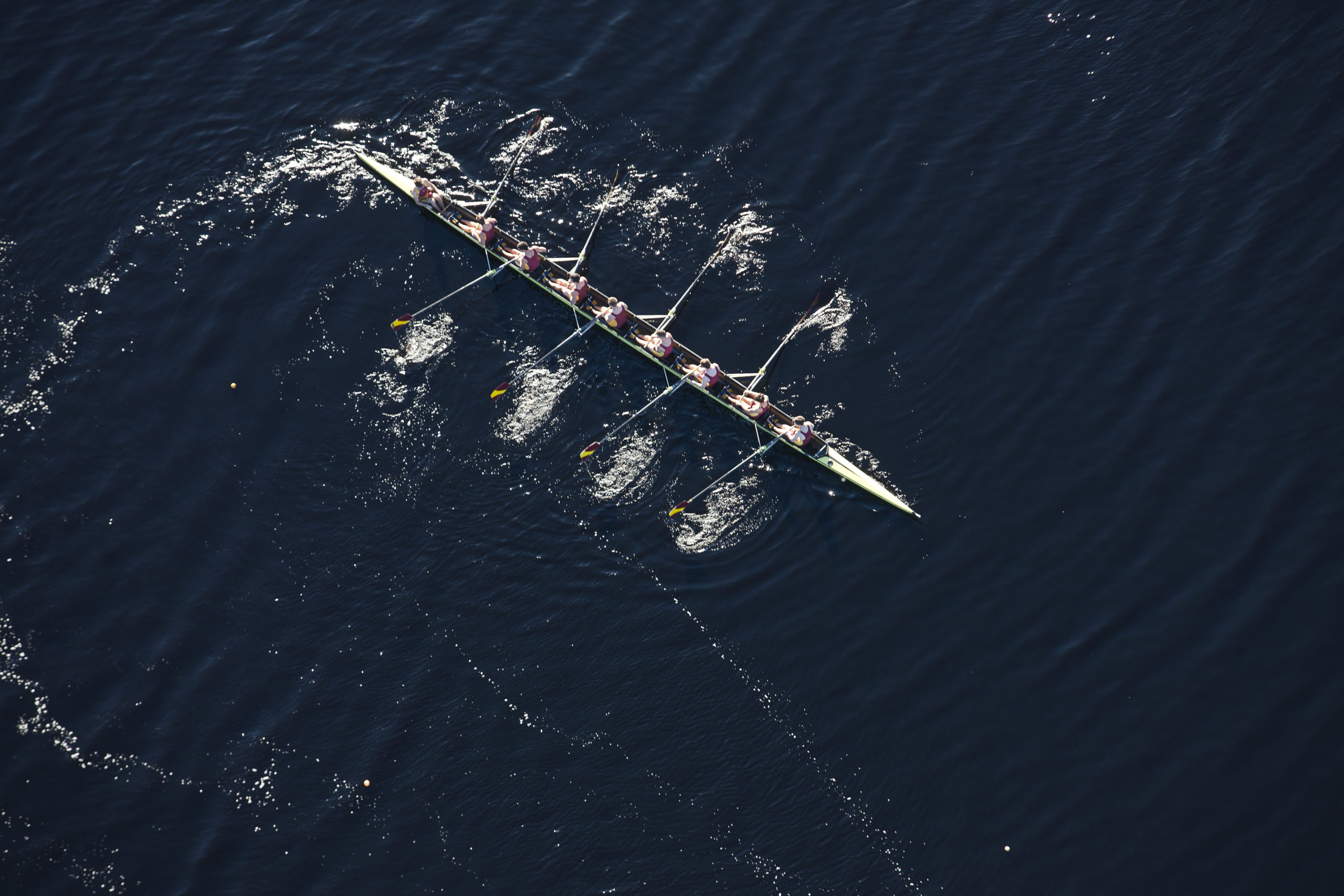 Plead The Fifth And Win: Expert Legal Insights For Navigating Risky Situations - lyjj61y